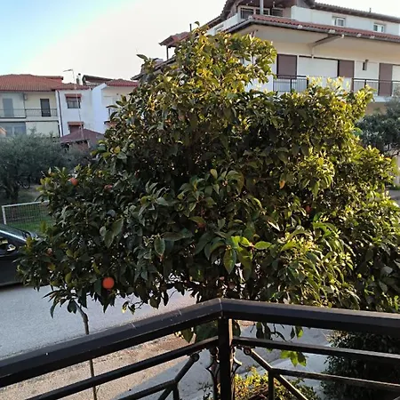 Marina & Studios-koralli Apartment *